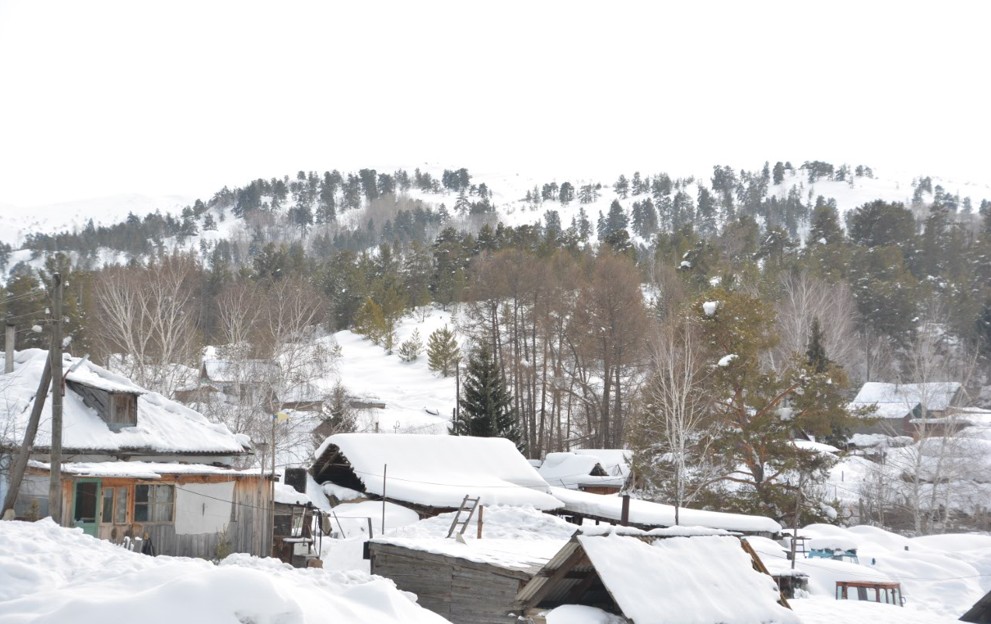 Ормандағы отыз үй