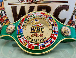 WBC жаңа жоба ұсынды