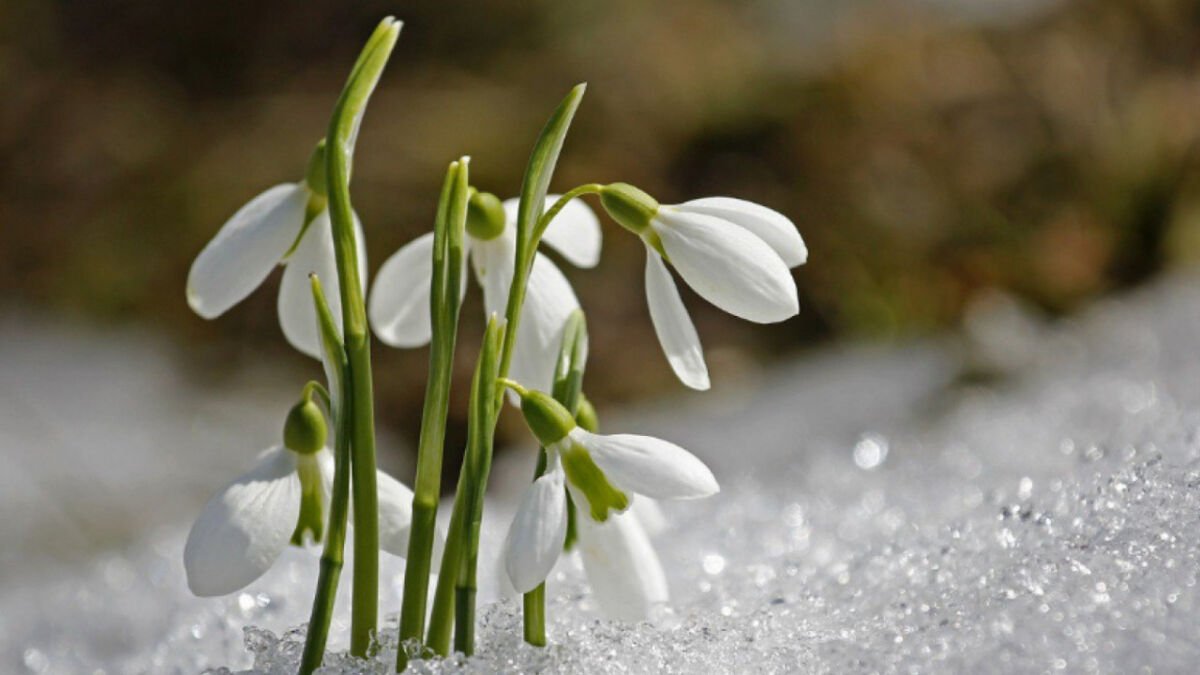 Оңтүстікте күн жылиды, қалған өңірлерде ауа райы қандай болады?