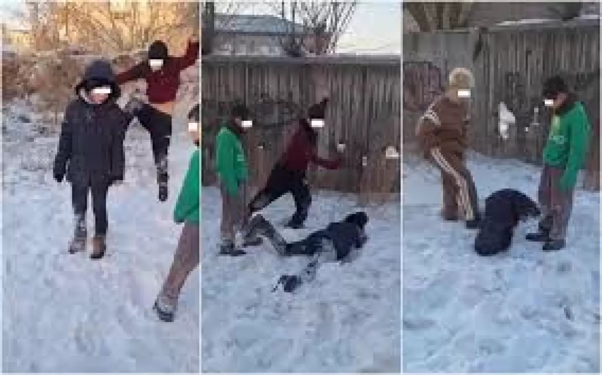 Семейдегі оқушылар төбелесі: әлімжеттік жасағандарға үкім шықты