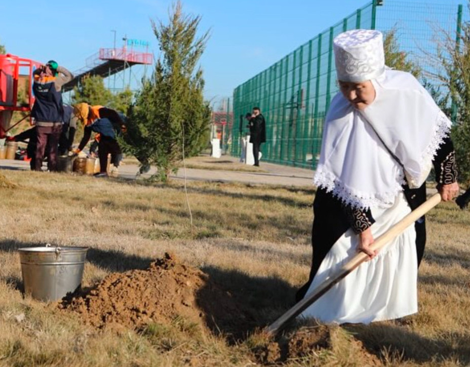 Түркістанда 10 мыңнан аса ағаш отырғызылды