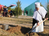 Түркістанда 10 мыңнан аса ағаш отырғызылды
