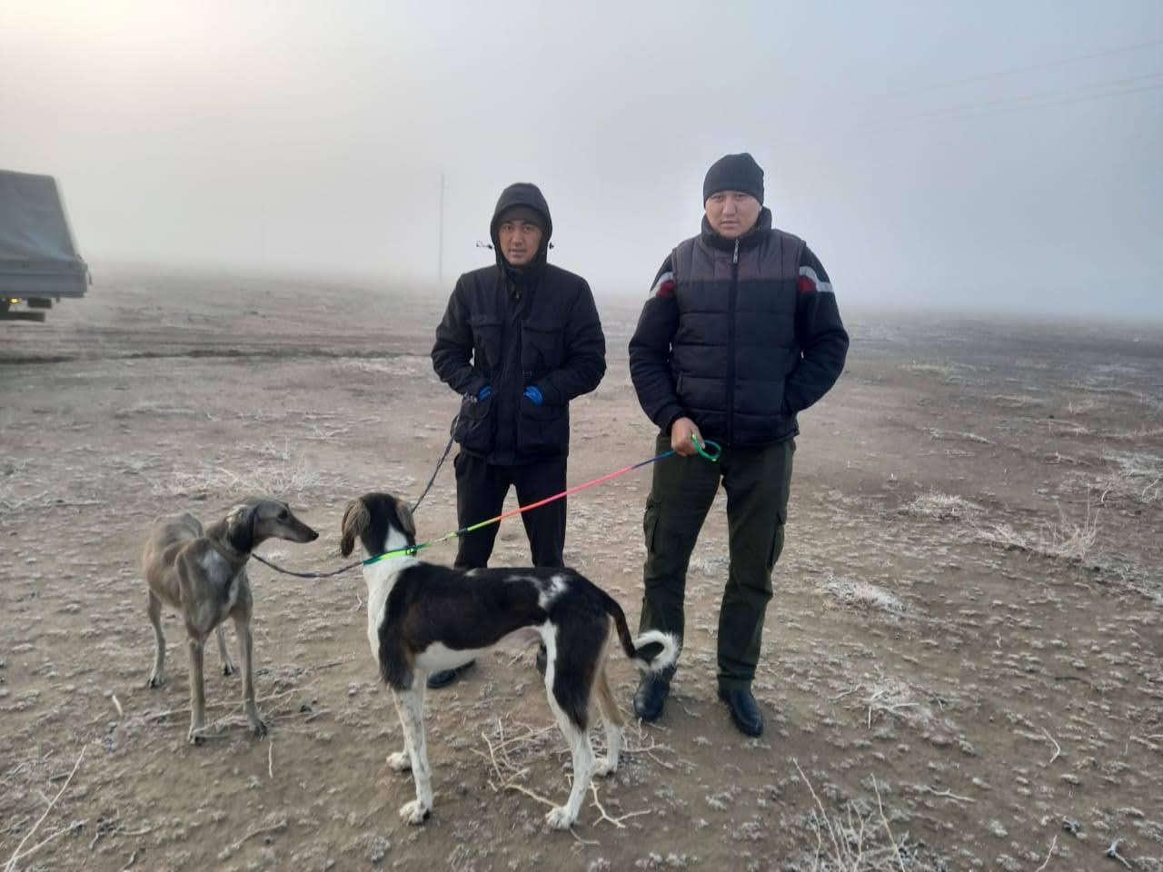 Ағайындылардың әуестігі – тазы жүгірту