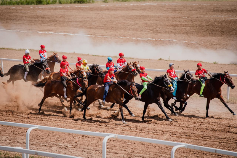 Павлодар облысында өткен бәйгеде шабандоз жығылып, ауыр жарақат алды