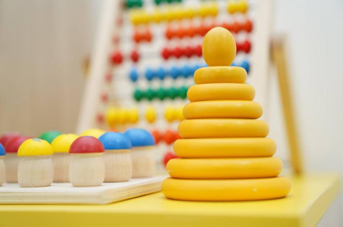 Ерекше балаларды қолдауға бағытталған жоба әзірленді