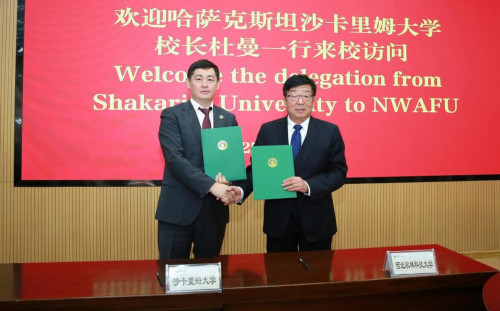 Shakarim University NWAFU-мен әріптестік орнатты
