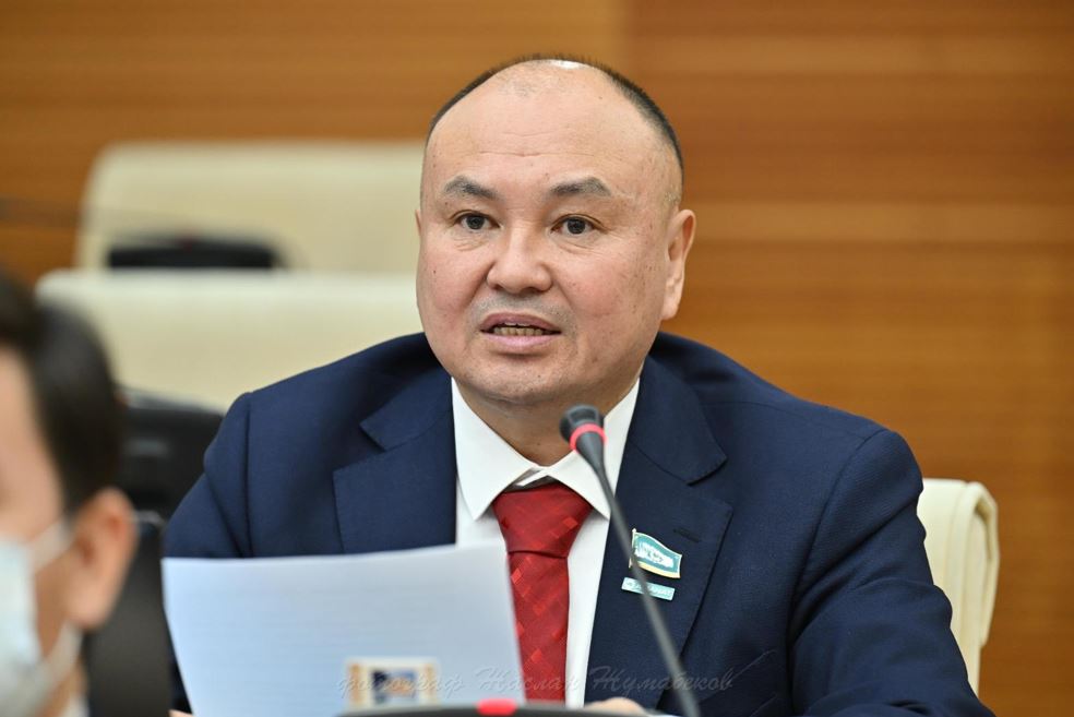 Шекаралық аудандардың стратегиялық маңызы зор - депутат