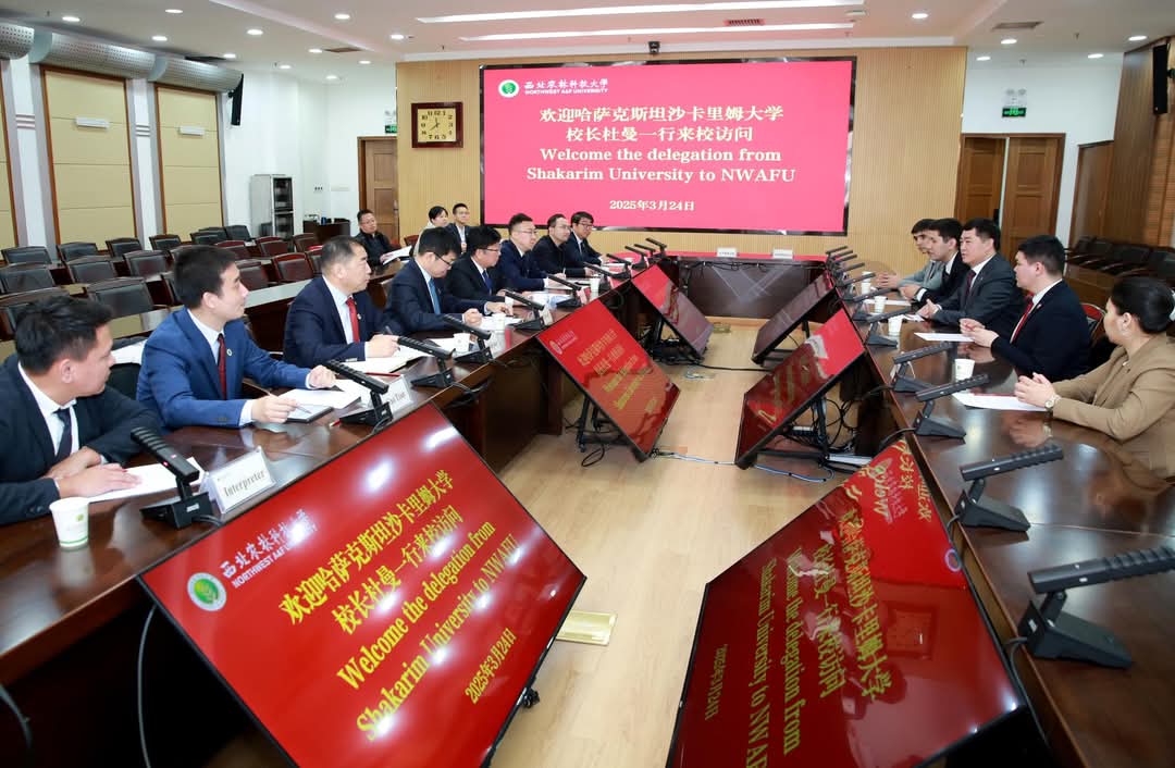 университет