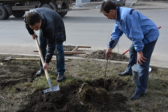 Қостанайда тазалық айы басталды