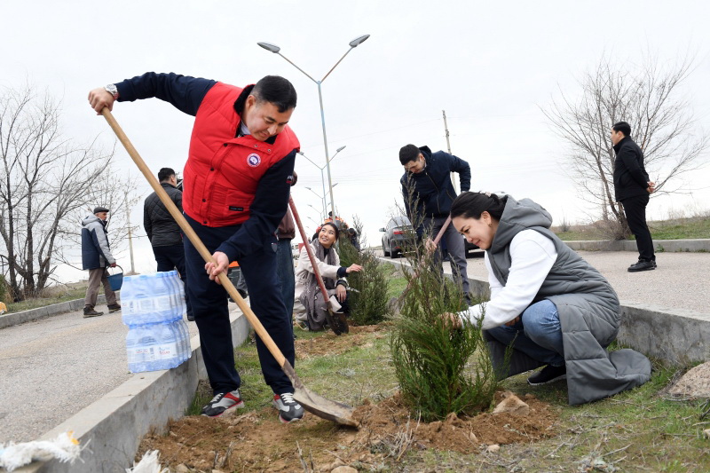 1205 түп ағаш екті