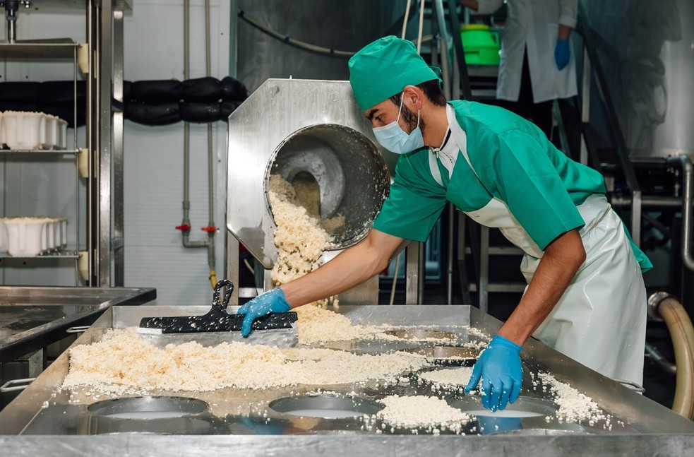 Сұранысқа ие «Камертон» ірімшіктері