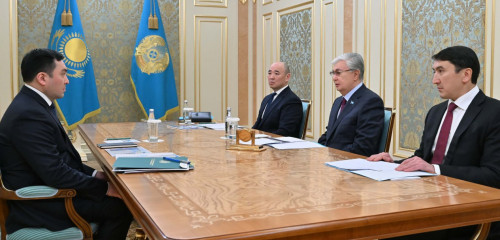 Мемлекет басшысы Энергетика министрі Ерлан Ақкенженовты қабылдады
