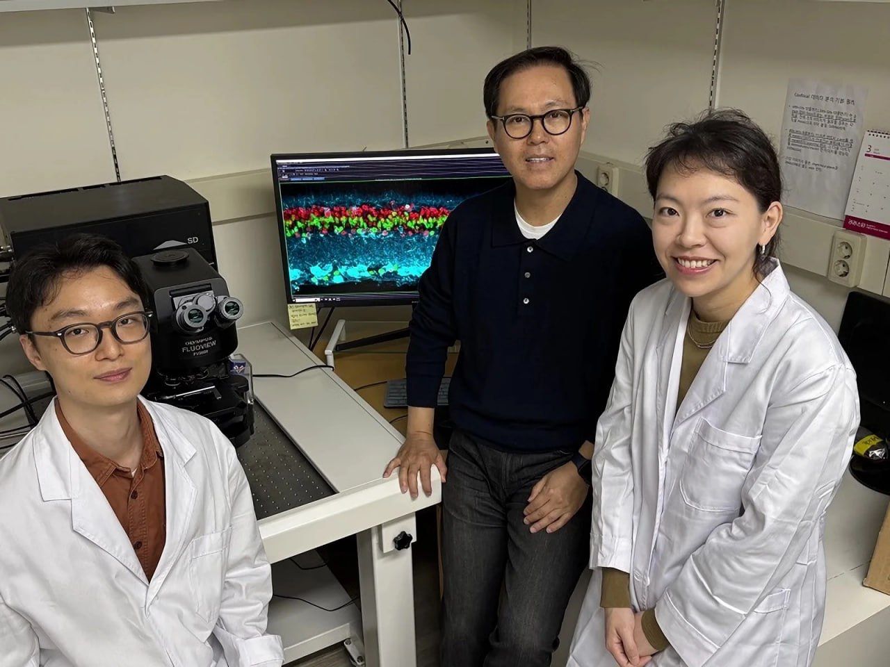 Көру қабілетін қалпына келтіретін дәрі