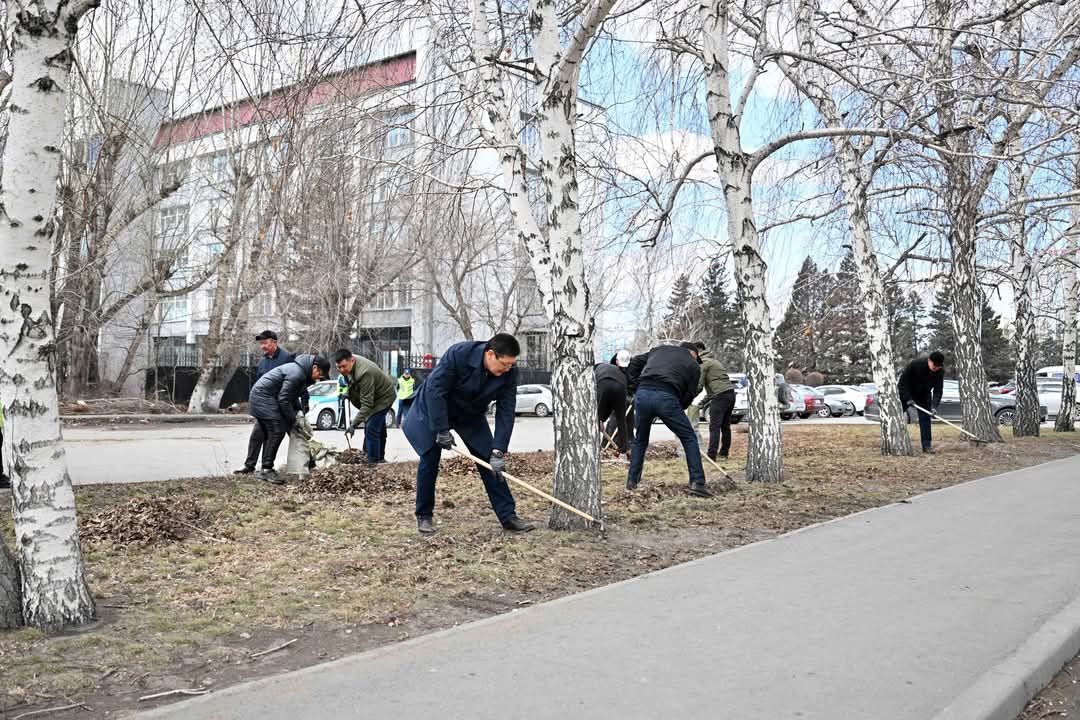 Абай облысында тазалық акциясы басталды