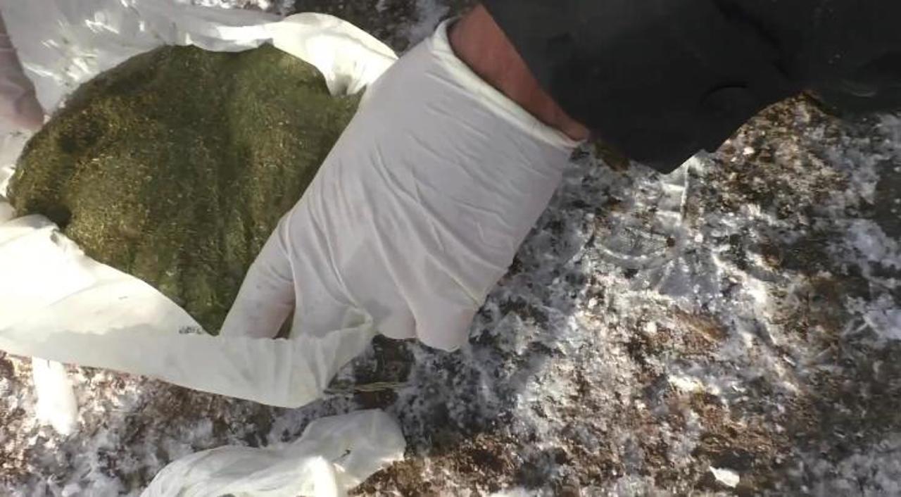 Дәрмек: Бірнеше килограмм есірткі тәркіленді