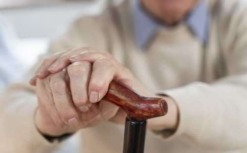 Жетісу облысында жасөспірім 86 жастағы қарияны аяусыз ұрған