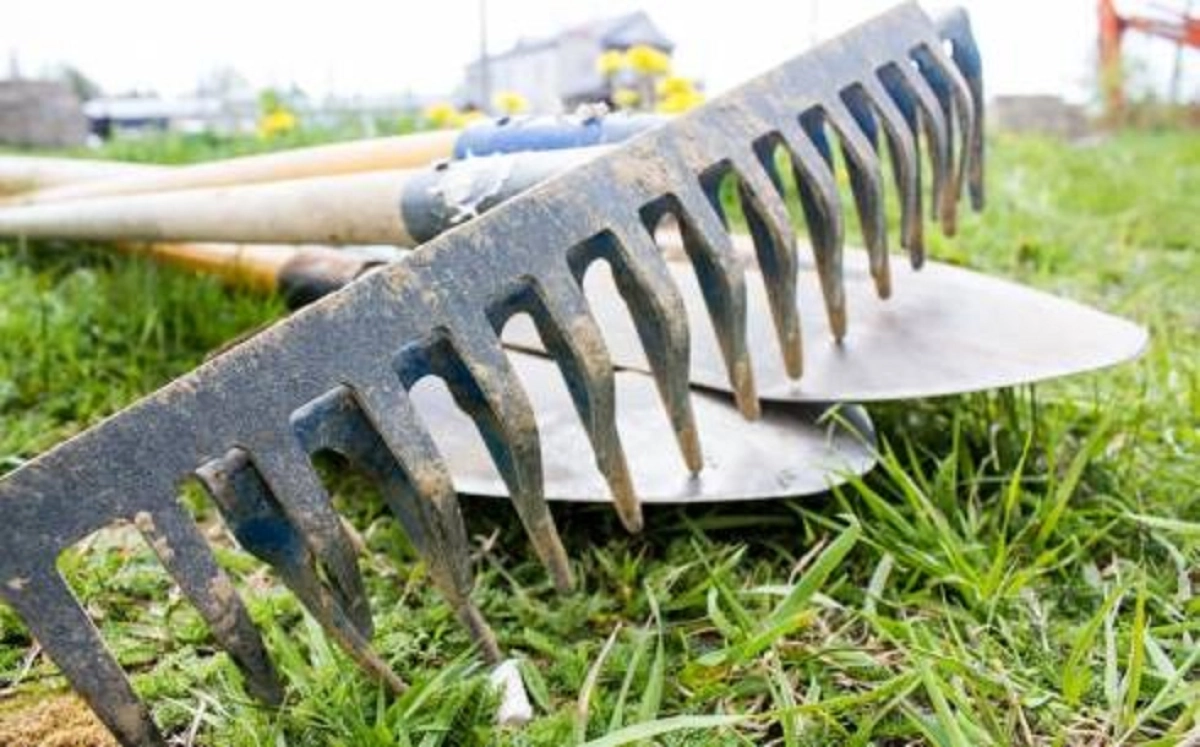 Қосшының көркі кіріп келеді