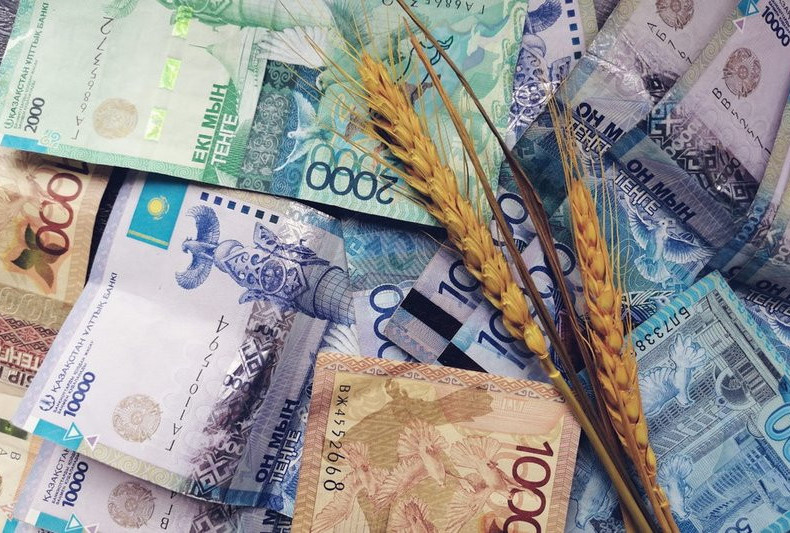 Үкімет астық өндірісін дамытуға 40 млрд теңге бөлді