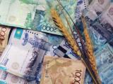 Үкімет астық өндірісін дамытуға 40 млрд теңге бөлді