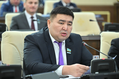 Салықтық жеңілдіктерді қайта қарау маңызды - депутат