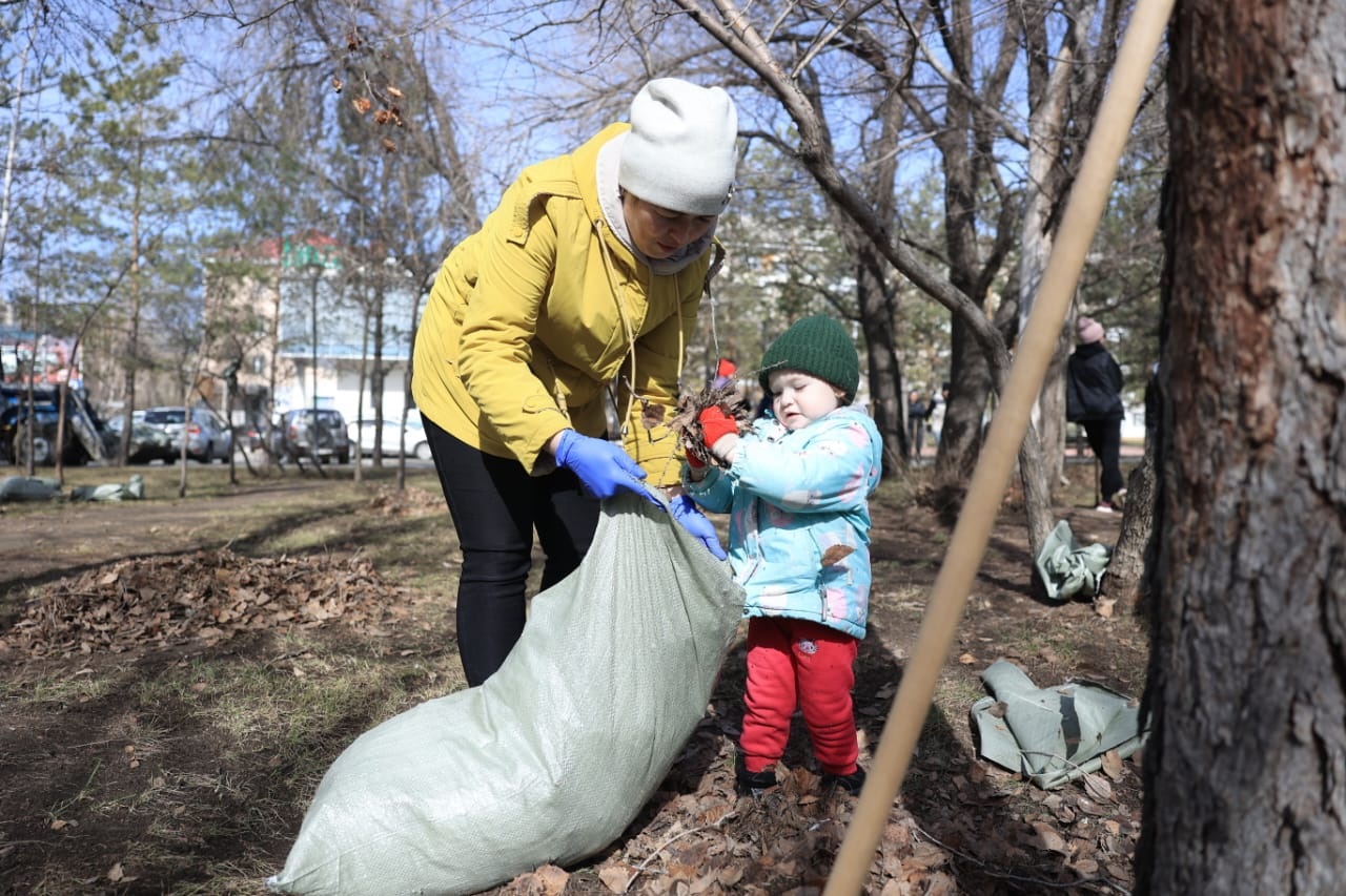 165 мың ағаш көшеті егіледі