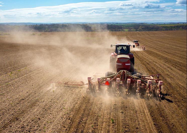 Ұлытау облысында 32 мың гектар егіс алқабына дақыл егіледі