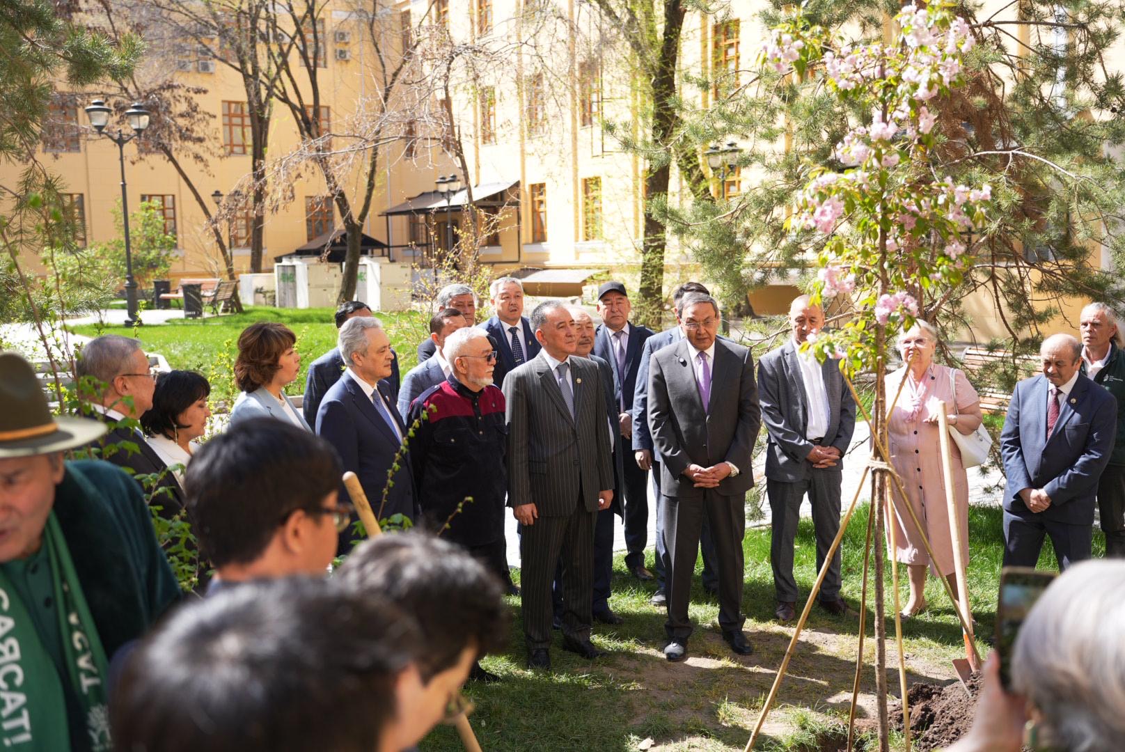 «Сәтбаев сакурасы» қайта жаңғыртылды