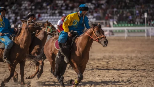 Көшпелілер ойыны туралы түсірілген фильм бәйгеге түспек