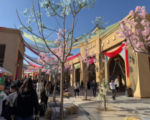 Түркістанда туристік маусым ресми түрде ашылды