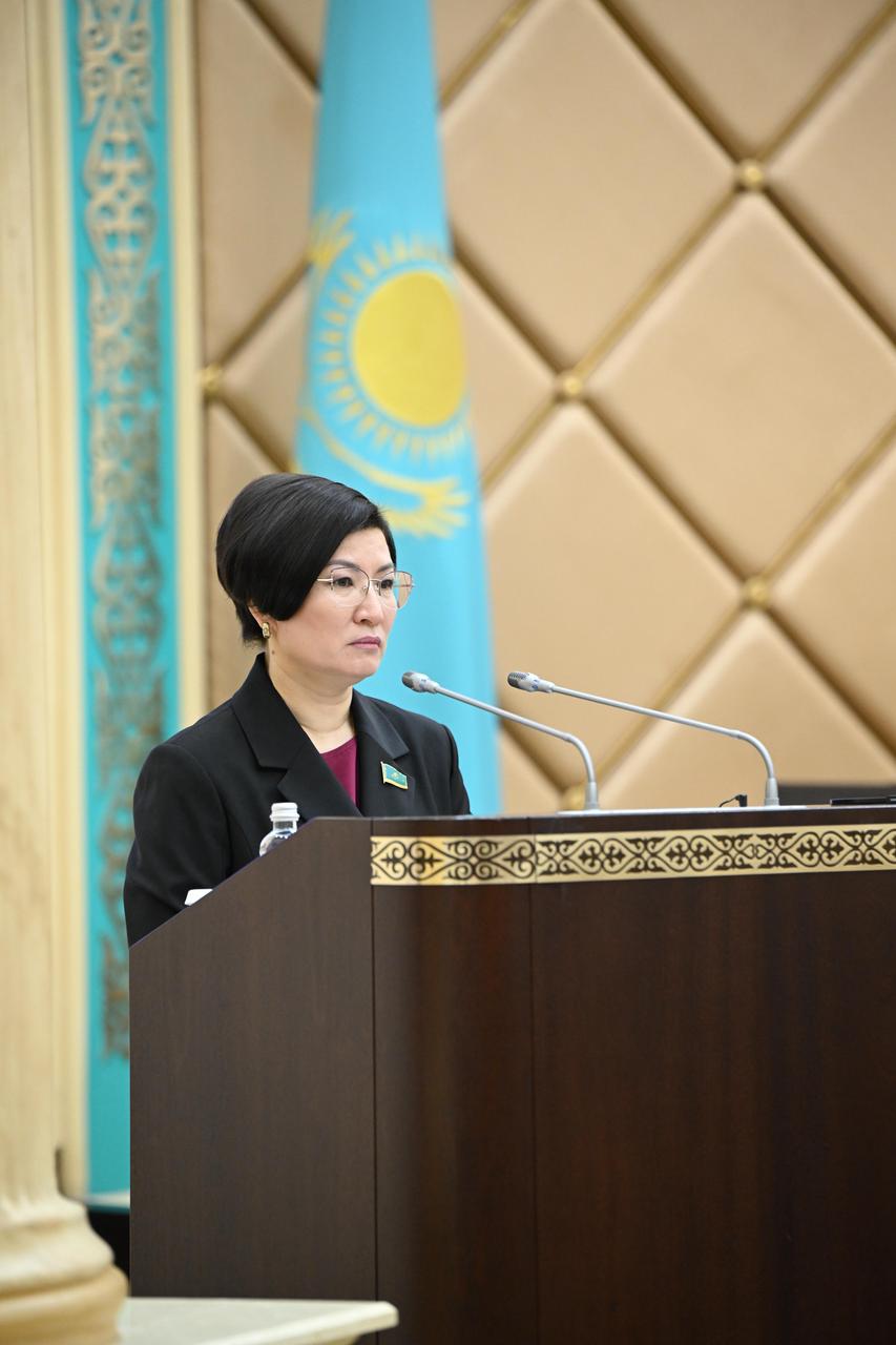 Әсем РАХМЕТОВА: Легионерлер мемлекет есебінен қаржыландырылмайды