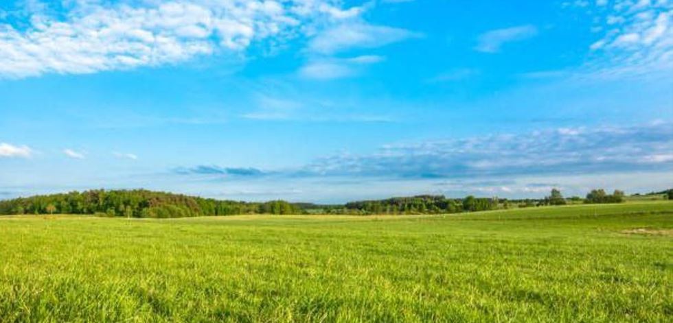 Абай облысында 64,2 мың гектар жер мемлекетке қайтарылған