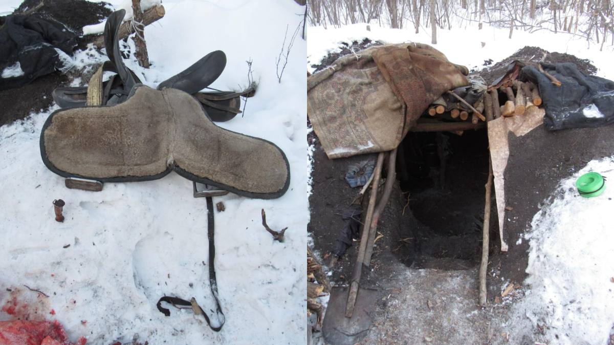 СҚО-да жылқы ұрлаған тұрғын 7 жылға сотталды