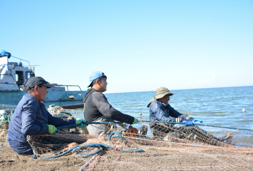 ШҚО-да балық аулауға тыйым салынды
