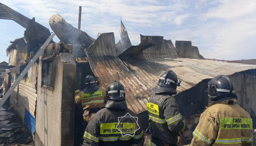 Астанадағы жеке тұрғын үйден өрт шықты