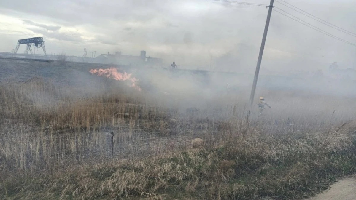 Ақмолада 40 гектар жердегі құрғап шөп өртенді