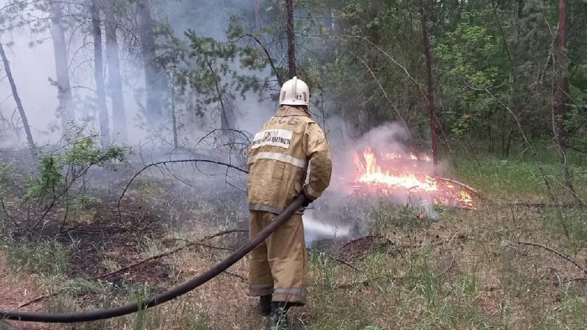 Қарқаралыда орманнан өрт шықты