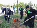 Ұлытау облысында ағаш егу акциясы өтті