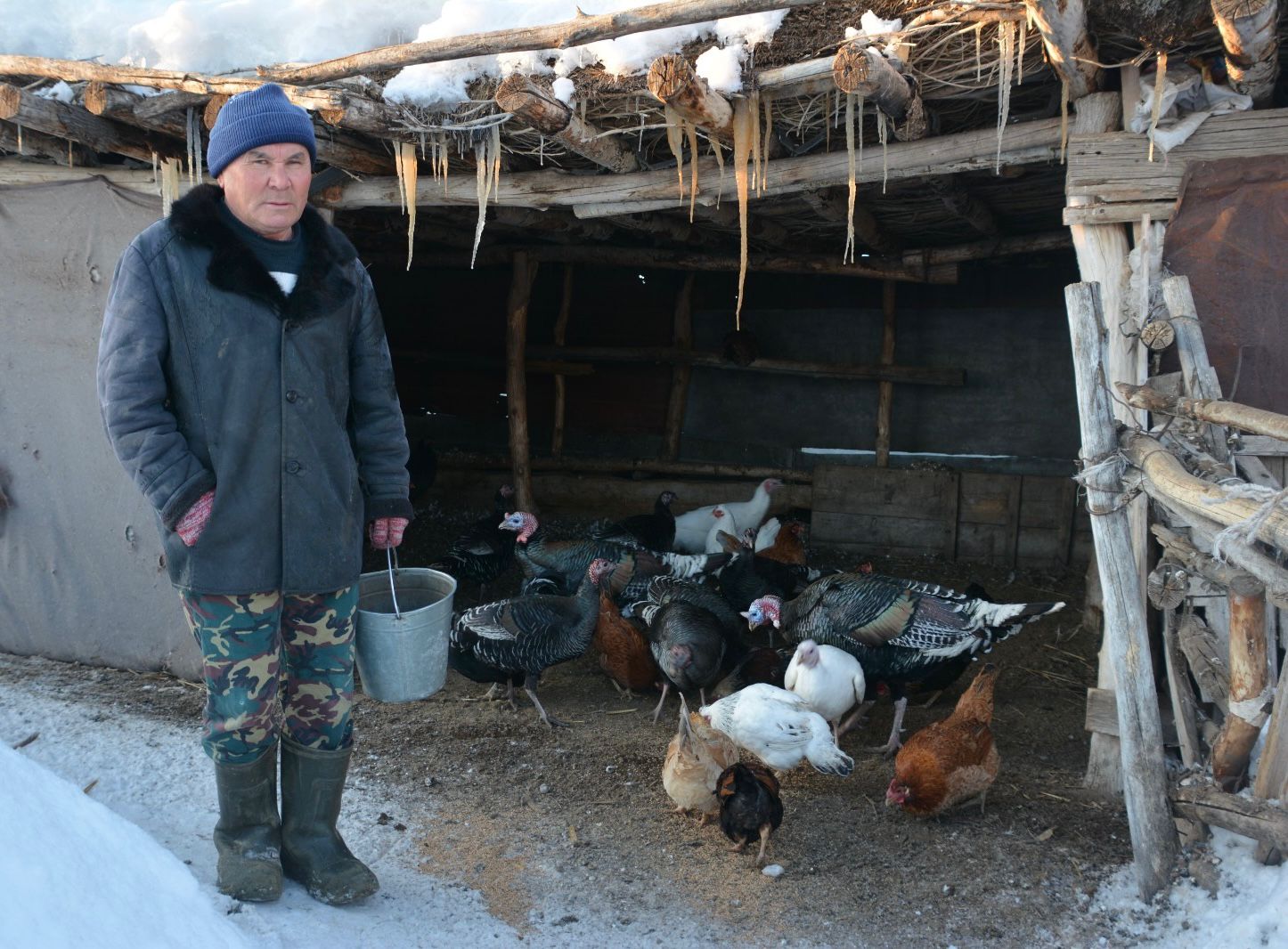 Ауыл тұрғыны тауықтан табыс тауып отыр