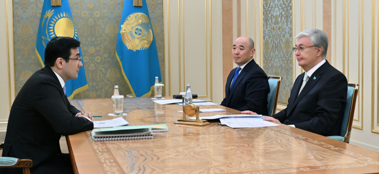 Президент «Бәйтерек» холдингінің басшысын қабылдады