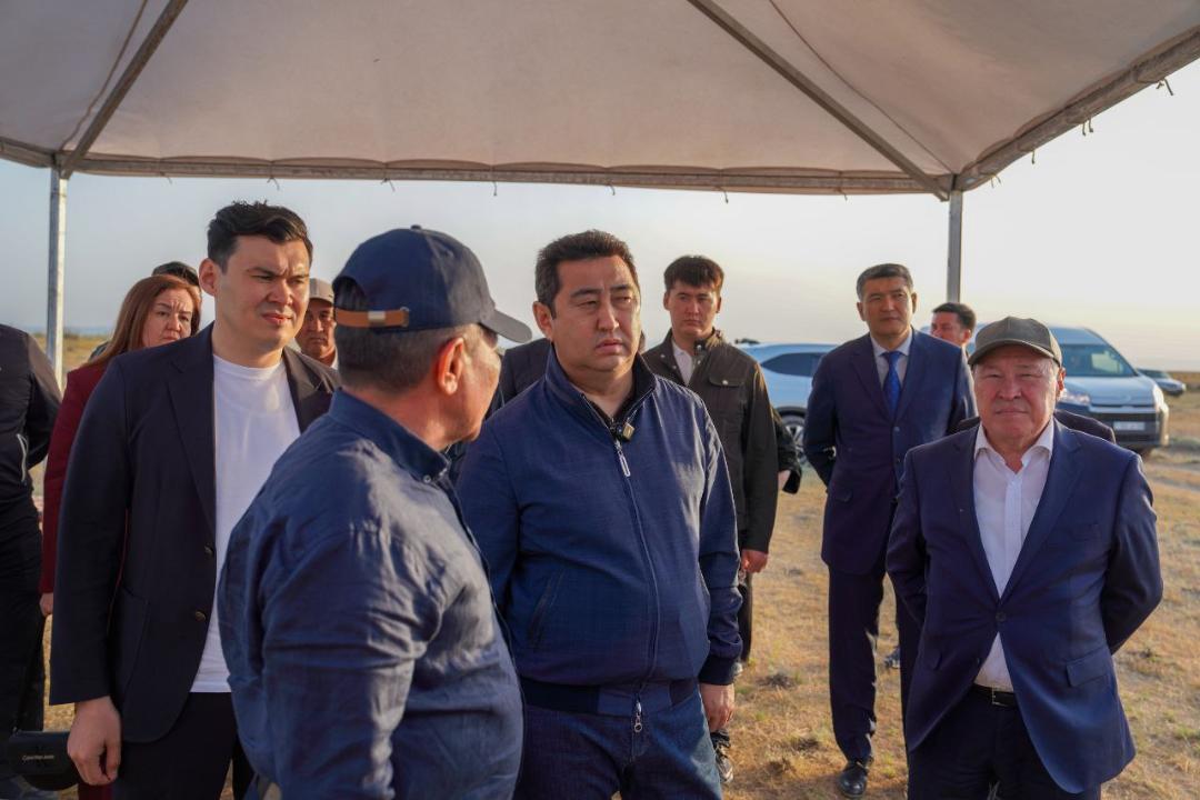 Жамбыл облысында шегірткеге қарсы өңдеу жүріп жатыр