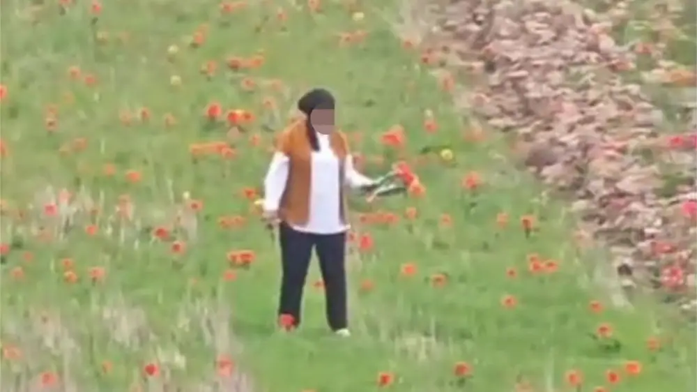 Грейг қызғалдағын жұлған шымкенттік әйелдің жазасы қандай болады?