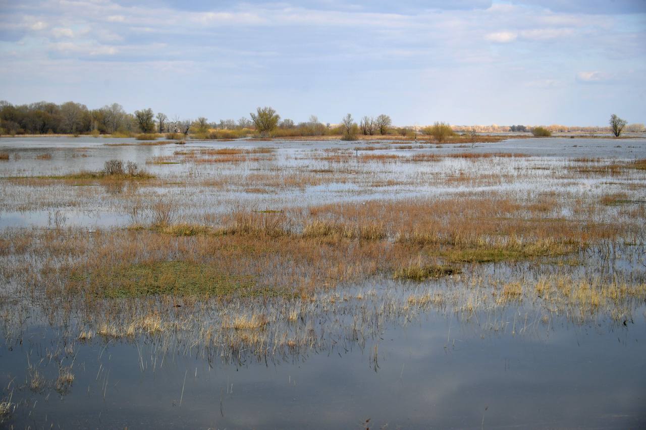Жайылманы жайлаған елді жарылқайды
