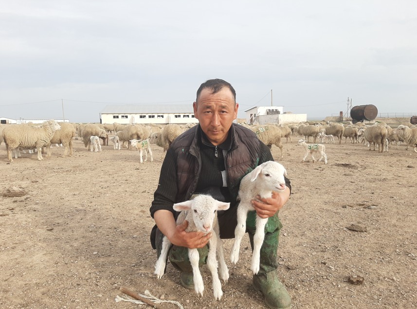 Қой қоздап, қорада шу...