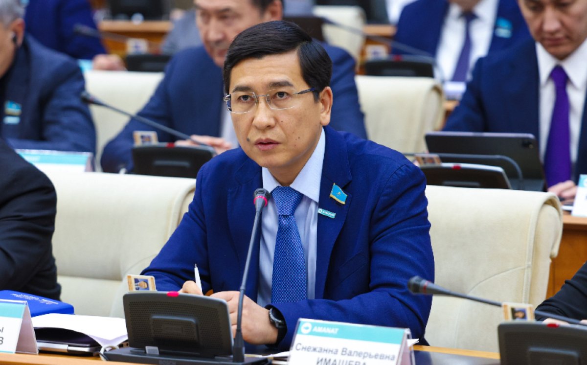 Депутат ел мектептерінде жасанды интеллектіні оқытуды ұсынды