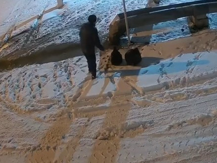 Қызылордада экологиялық құқық бұзушылықты тіркейтін бейнекамералар саны артады