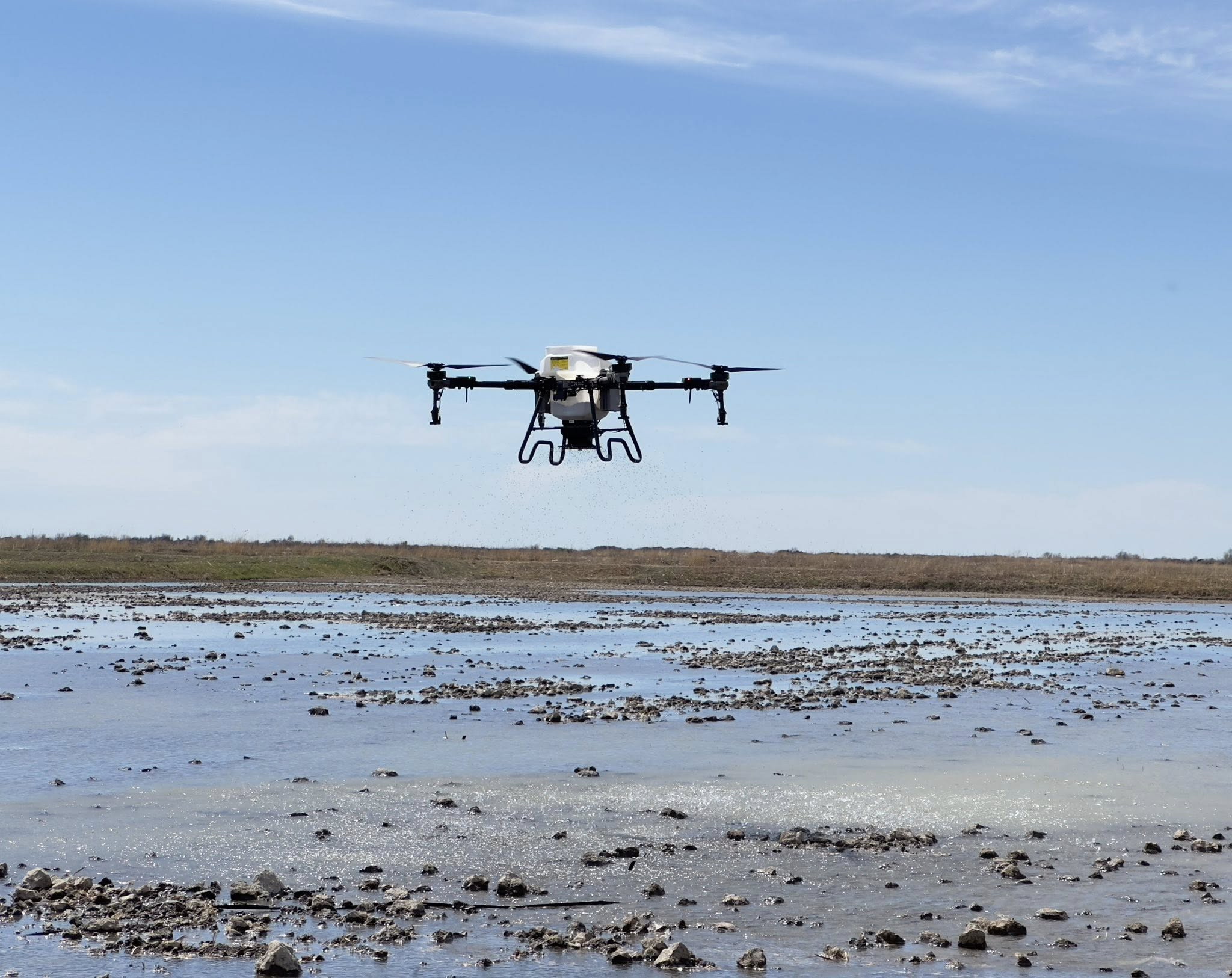 Шегірткемен күресті жаңа техника ширатады