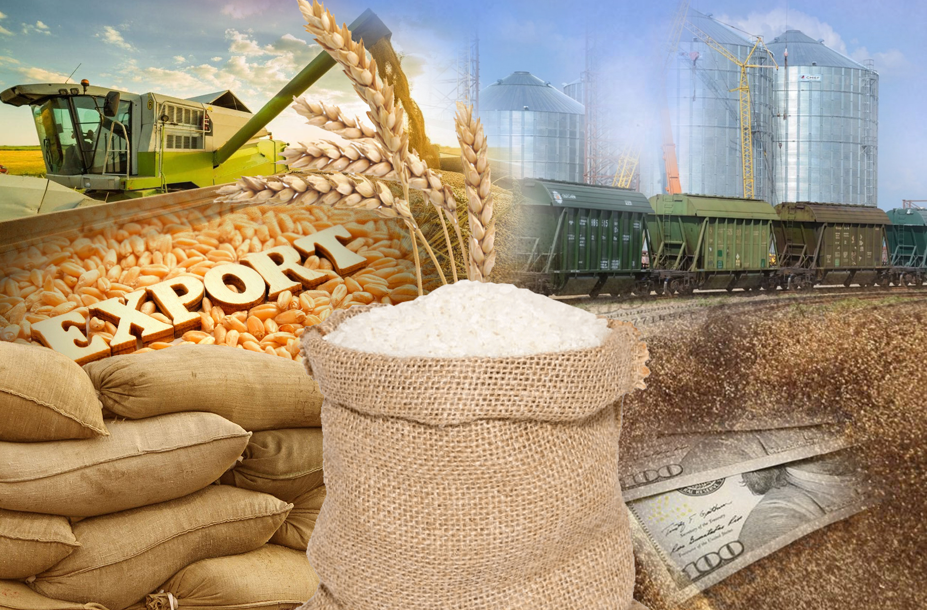 Ақмоланың астығы Италияға экспортталды