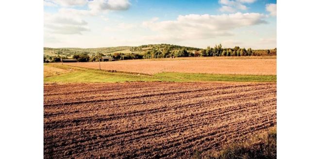 Ақтөбе облысында 1200 гектар жер мемлекетке қайтарылды