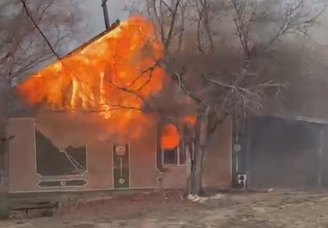 Баянауыл ұлттық паркіндегі өртке электр кернеуіне түскен сауысқан себепкер болған