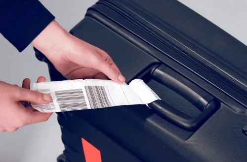 Әуе компаниялары отбасы мүшелерінің жүгін біріктіруі қажет - депутат